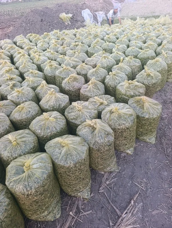 Selos 20mindan Toshkent boylab dastafka hizmati bor — фото 3
