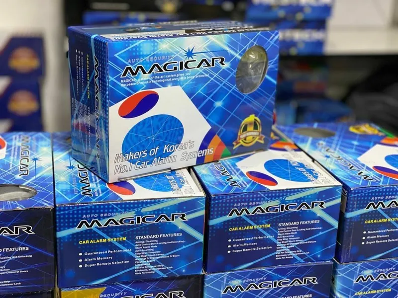 Macigar signalizatsiya