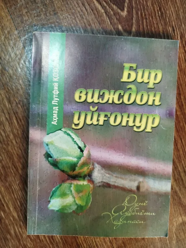 Bir vijdon uygʻonur