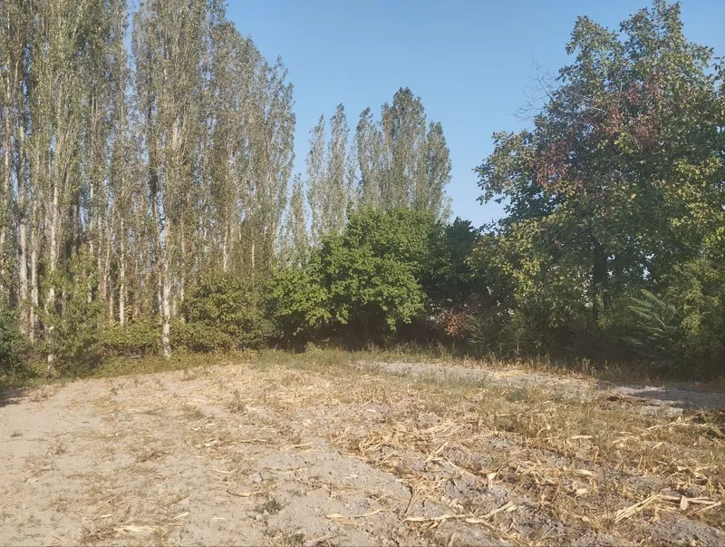 Yer suv gaz svet kanalizatsiya hammasi bor