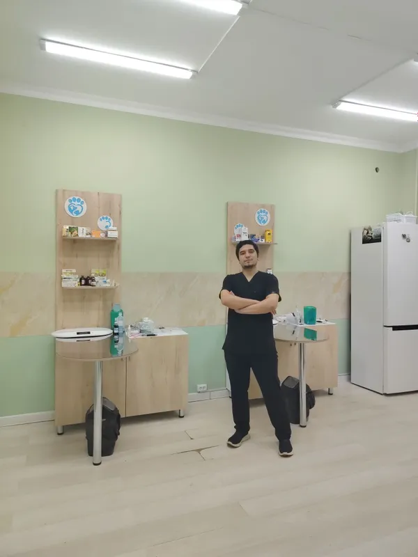 Mushuklaringiz sog'lig'ini oylovchi veterinar doctor — фото 2