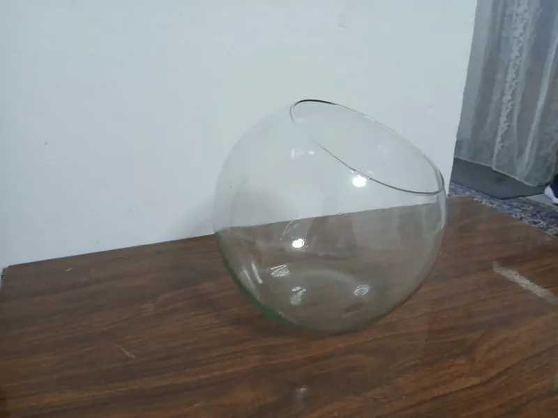 Agar akvarium sotib olsangiz, sovg‘a sifatida yana 5 litrli 1 ta beriladi 2 Agar akvarium sotib olsangiz, sovg‘a sifatida yana 5 litrli 1 ta beriladi 2