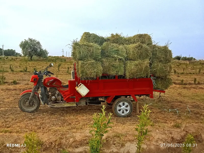 Hamkor motsakil sotiladi narxi 10 mln boʻladigan shu — фото 3