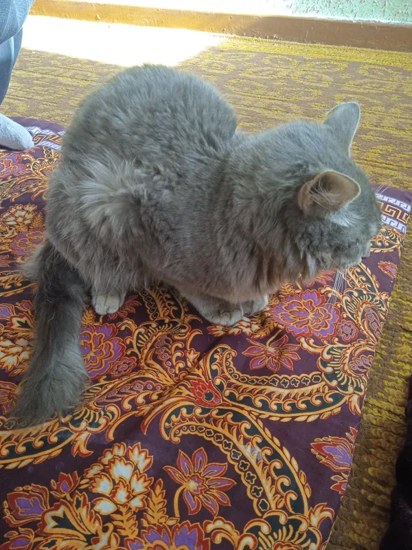 Mast ayolga ogzaki jinsiy aloqa qiladi Yosh aktyorlar bilan rus porno