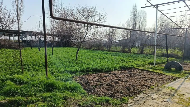 YuqoriChirchiq Tumani Qirsadaq maxallasi birinchi linyada Joylashgan — фото 4