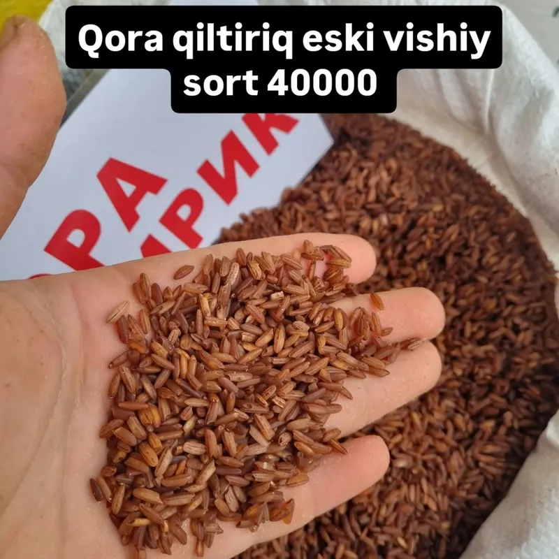 Istalgan hildagi guruch larni topib beramiz — фото 7