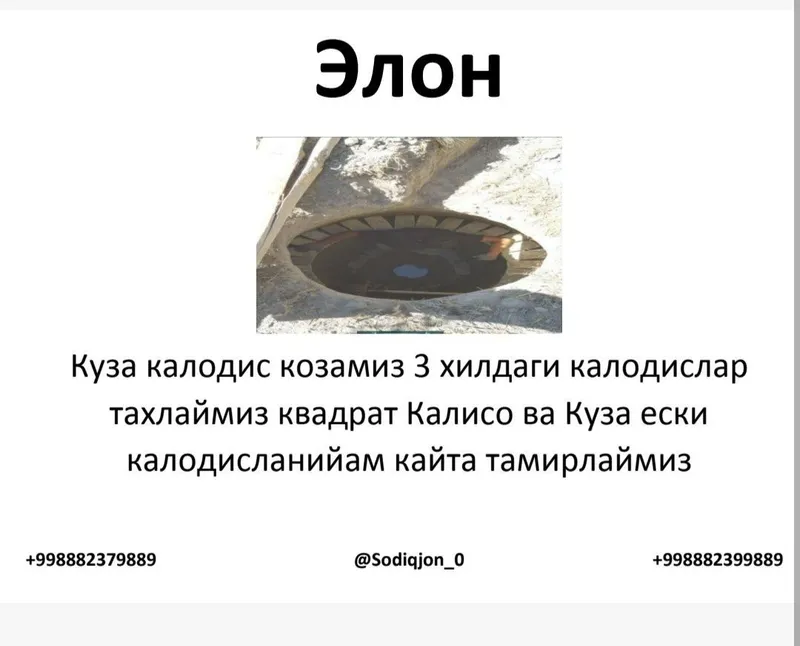 Куза калодис козамиз — фото 3