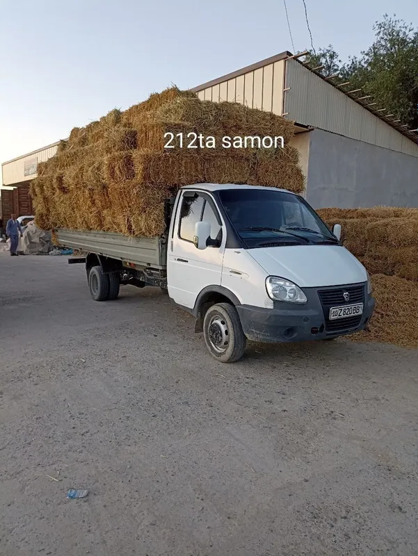Gazel yuk tashish xizmati Ishtixon va Viloyatlar buylab — фото 4