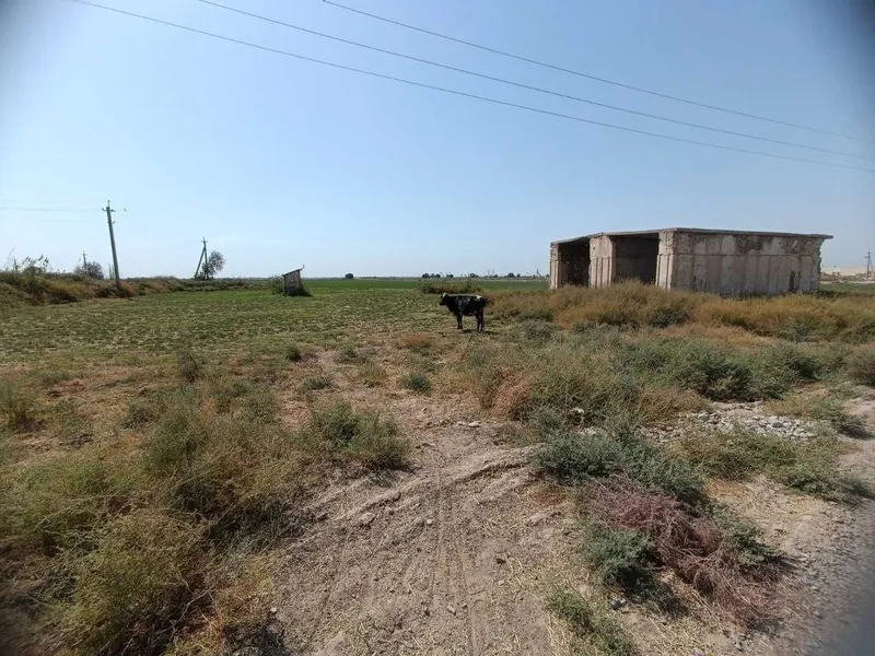 Yer sotiladi "Sherobod" mahallasi, Zang post Molbozorgacha 5 km — фото 1 Yer sotiladi "Sherobod" mahallasi, Zang post Molbozorgacha 5 km — фото 1