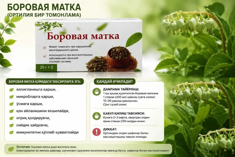 Боровая матка, Borovaya matka 1 Боровая матка, Borovaya matka 1