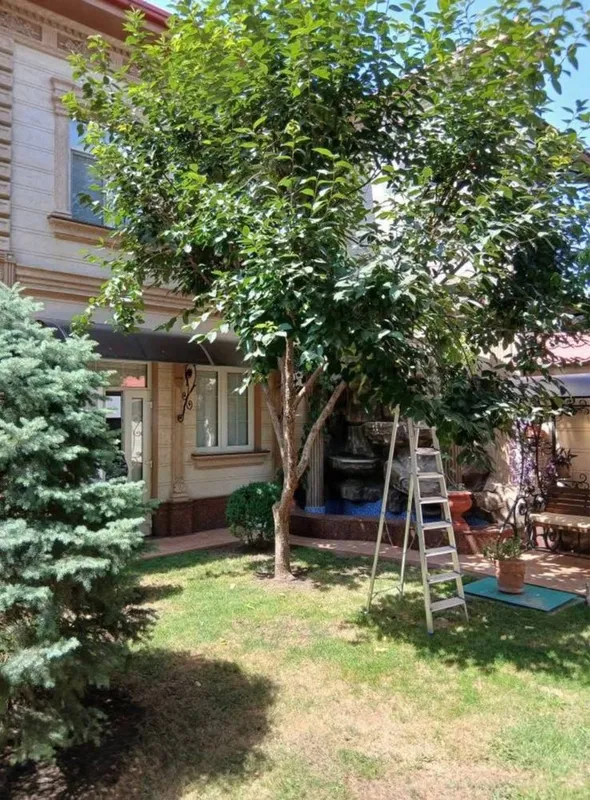 Продается Евро Дом 9 соток, 608м2. Ориентир Ресторан Jumanji, Pasado — фото 5