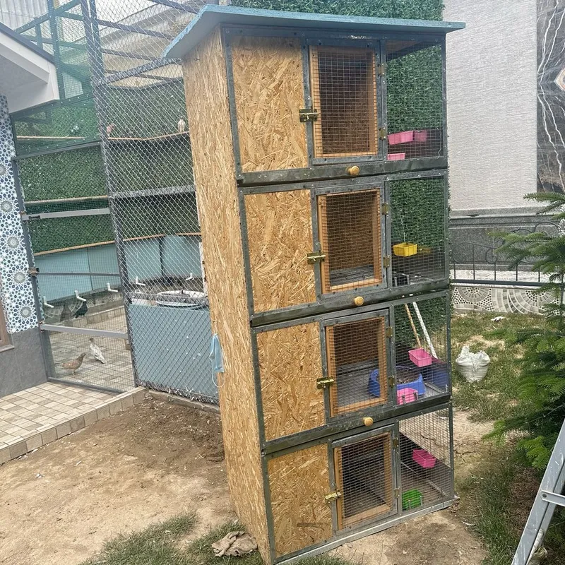 Продам свою клетку Продам свою клетку