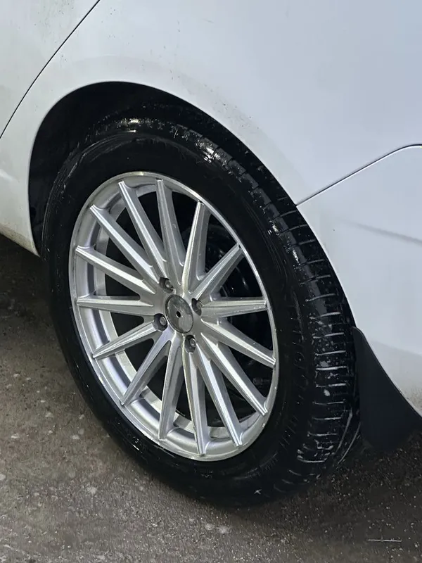 Vossen diska balon 17