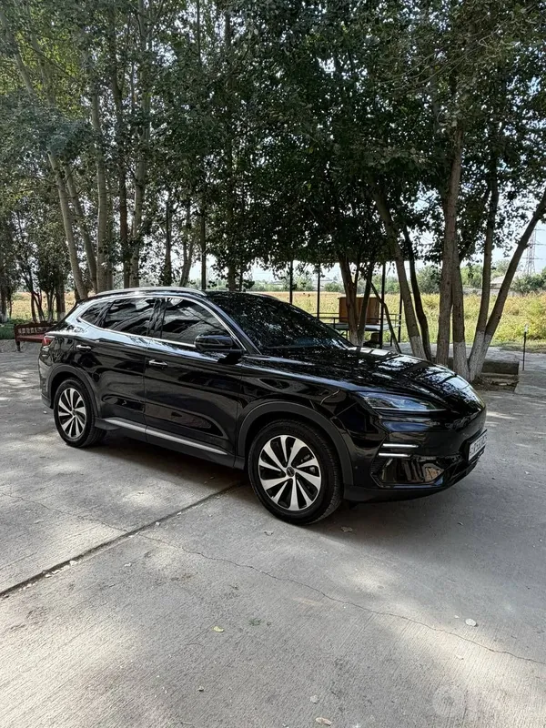 BYD HONOR 2024/605 2 BYD HONOR 2024/605 2