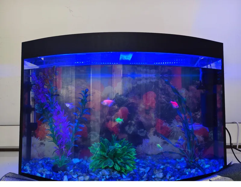 Akvarium