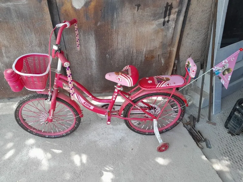 Velosiped narxi 600 000 ming