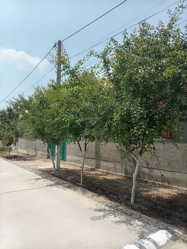 Guliston shaxar markazidan hovli uy 3 Guliston shaxar markazidan hovli uy 3