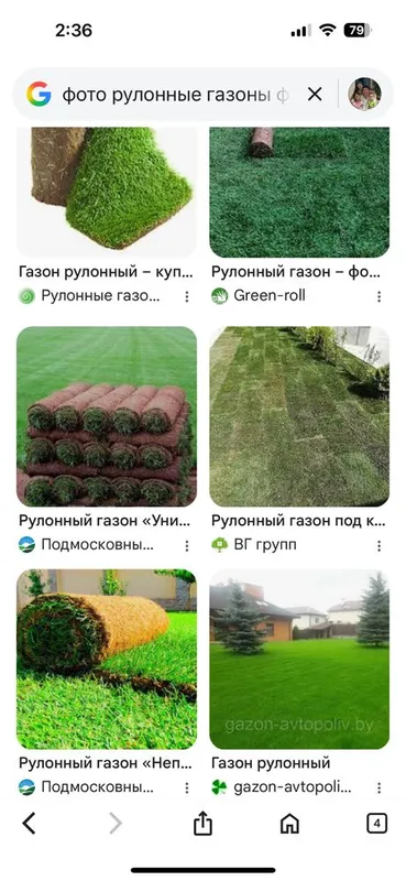 Рулонные газоны.Качественно .Дорого.