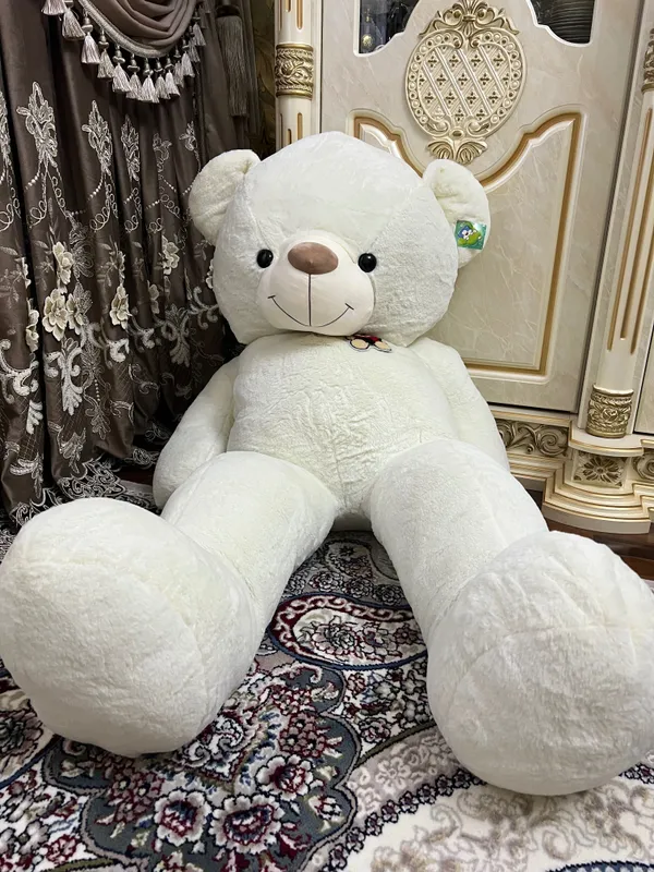 Teddy ayiq sotiladi yangi