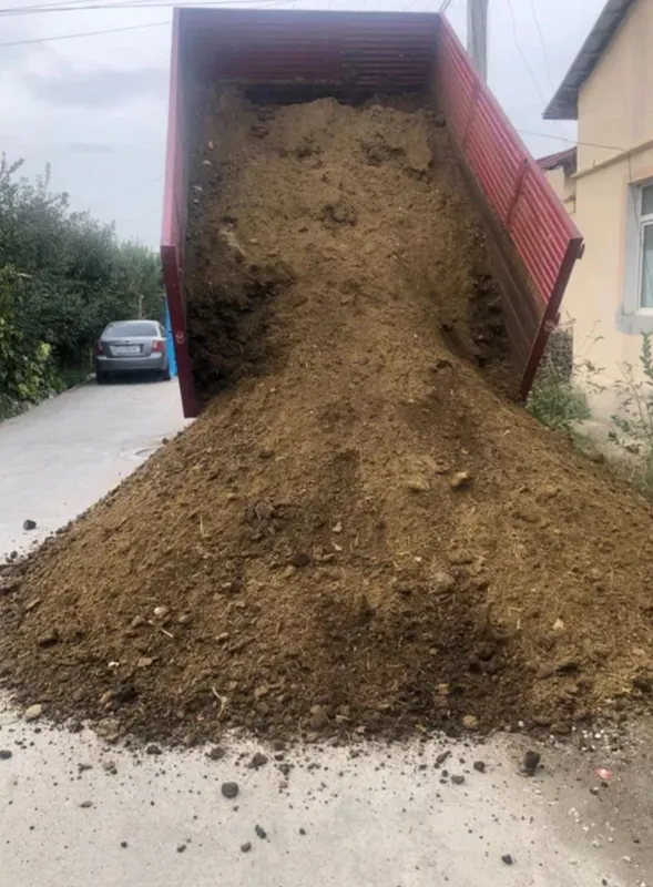Molni Go'ngi sotiladi
