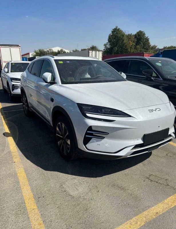Byd Champion Smart Drive 1