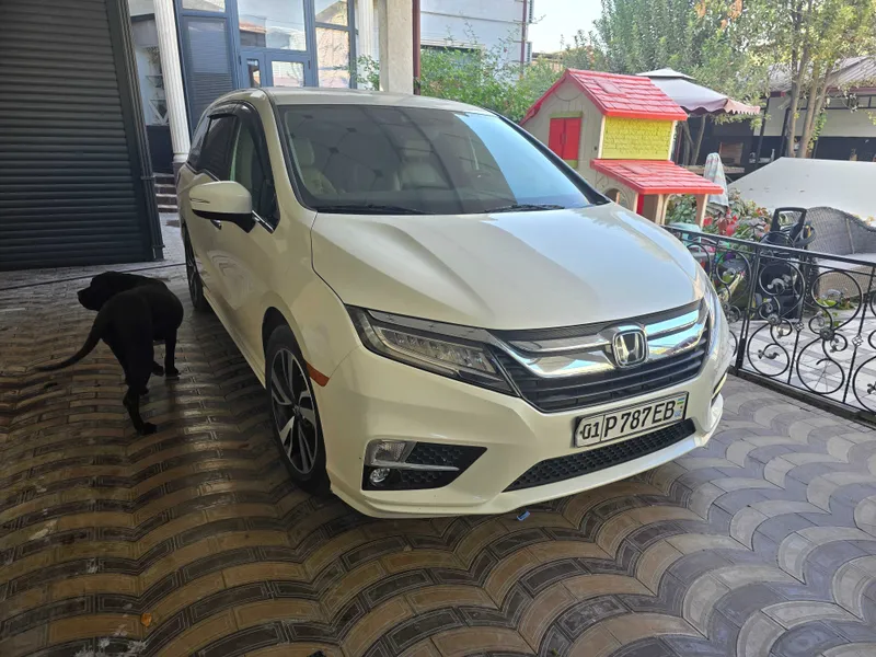 Honda odyssey touring 2019 — фото 1