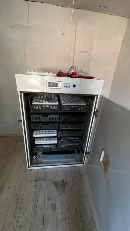 inkubator 1056 talik xitoy oxirgi aparati 2 inkubator 1056 talik xitoy oxirgi aparati 2