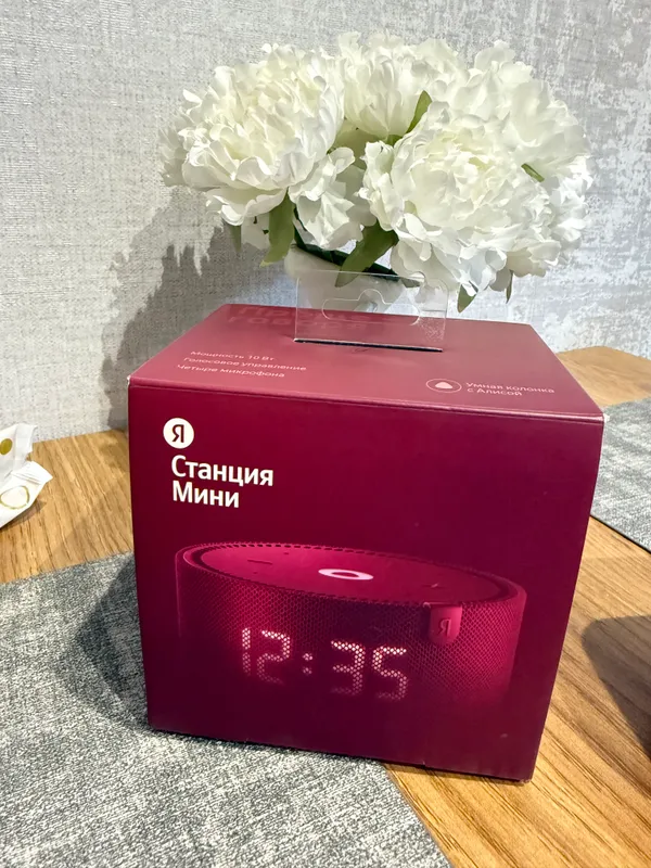 Yandex Stansiya Mini 1
