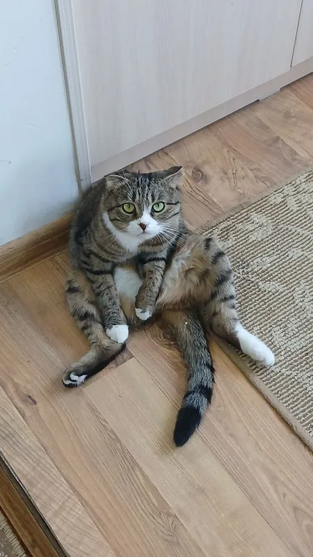 мушугим 1 мушугим 1