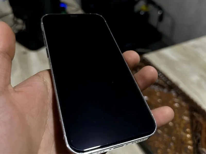 Iphone 12 pro идеал 2