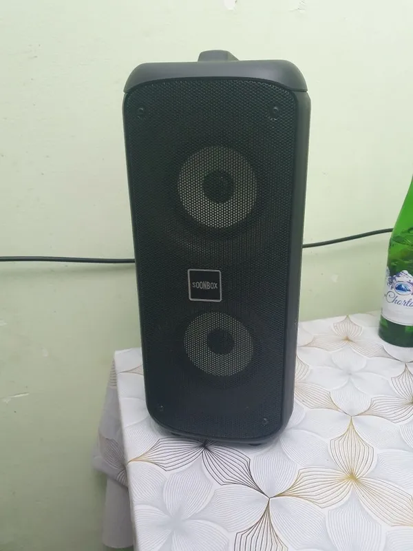 колонка с микрофоном