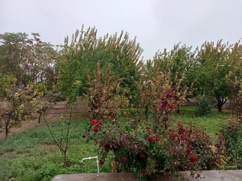 4 xonali uy oshxona va dushi bn. Bog' ham bor — фото 3