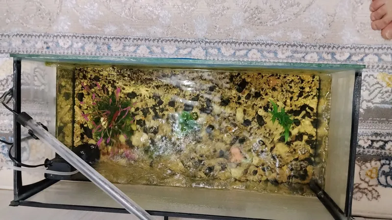 AKVARIUM 2