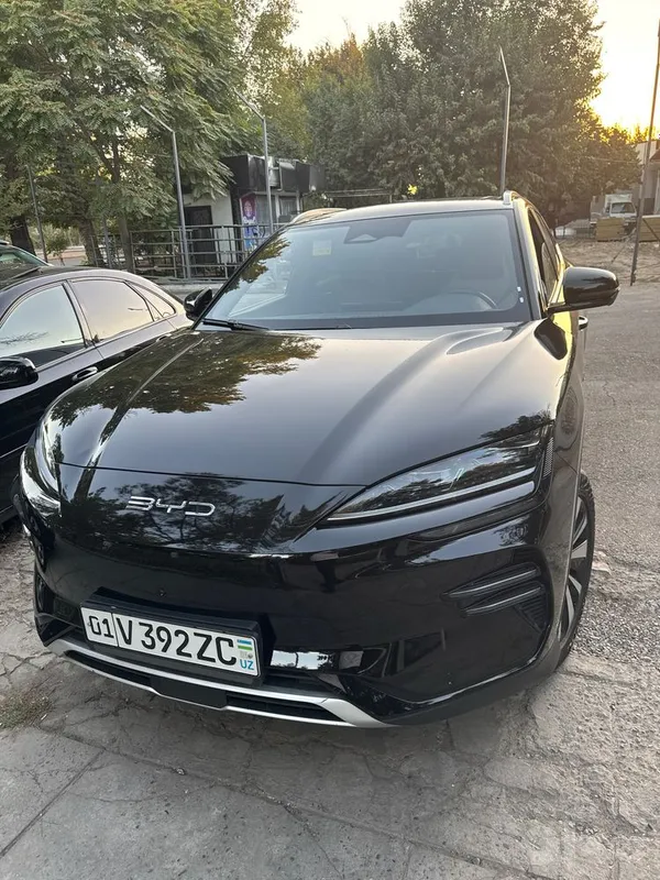 Bvd 2023 год срочноь Bvd 2023 год срочноь