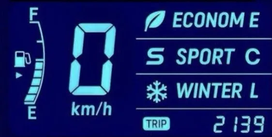Cobalt Sport+Econom+Winter Programa