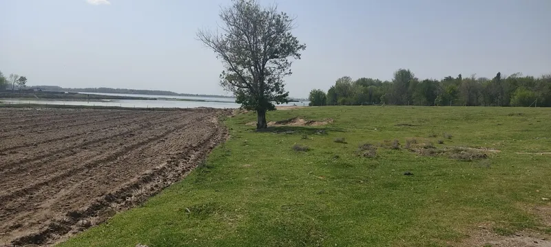 Срочно продаётся земля 8-гектар Ташморе — фото 2