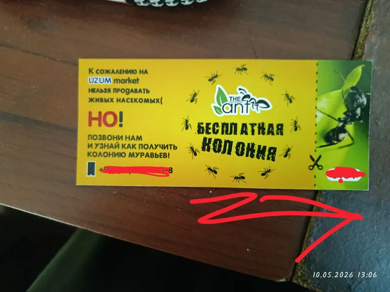 Продаю муравьиную ферму на запчясти все есть