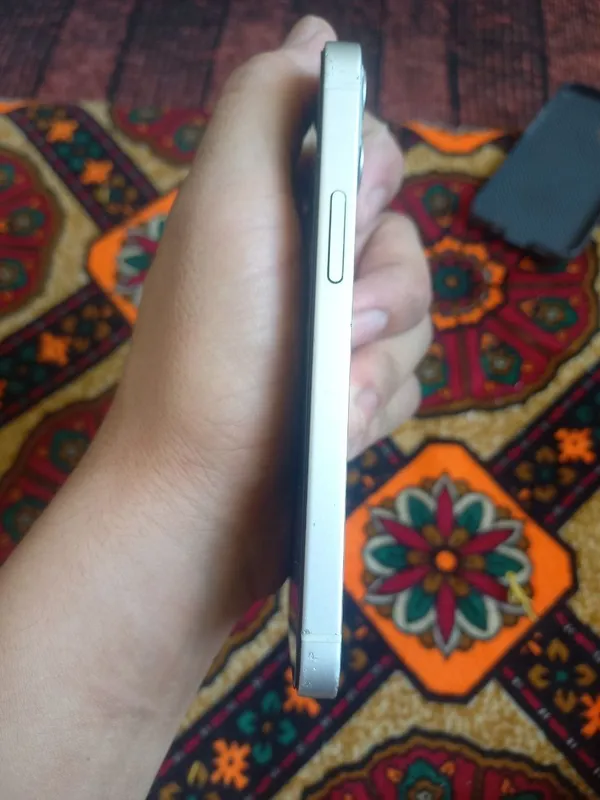Iphone12mini 1