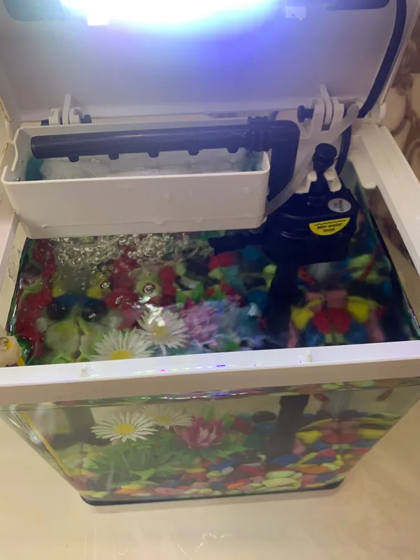 Akvarium 4 Akvarium 4