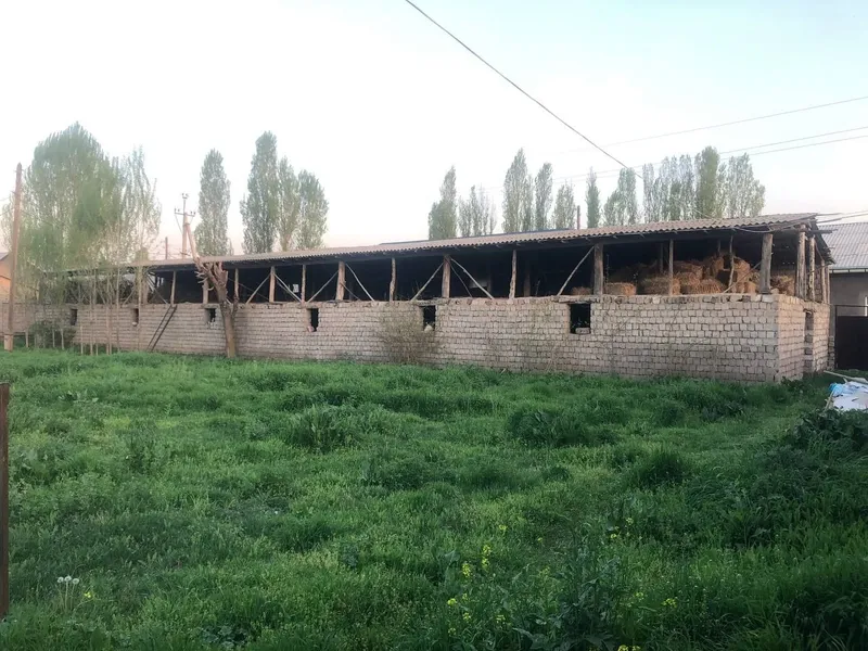 Uchaska sotiladi