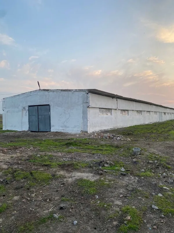 Ижарага ферма 1700м2 бино