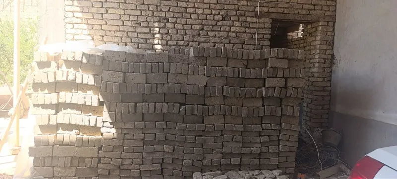 Хом гишт сотилади