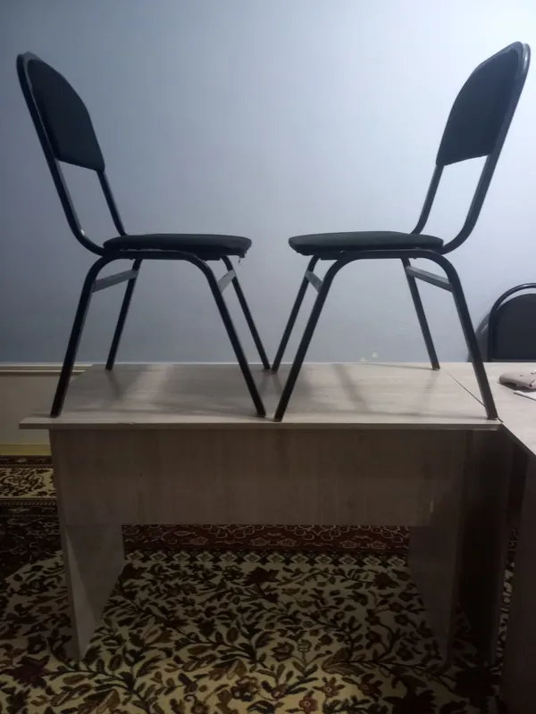Parta va stullar 1