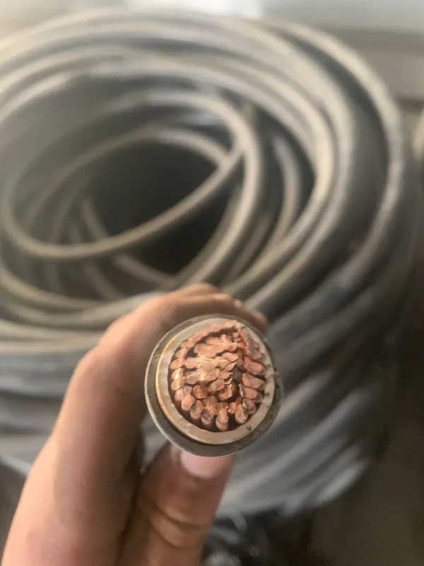 Vvg, Ppg 1*240 kabel