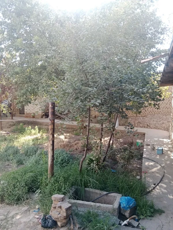 Hovli shahar markazidan Qarshi shahri Gulshan mahalla Gulzor ko'cha — фото 2