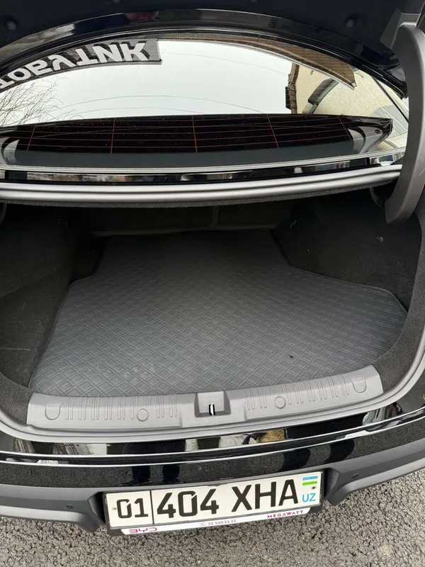 9D poliki / коврики для BYD Seal 6 — фото 4