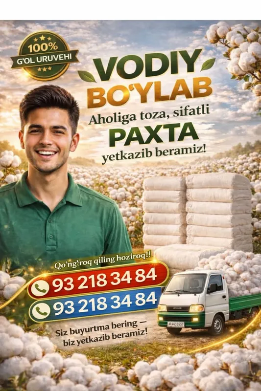 paxta 3 paxta 3