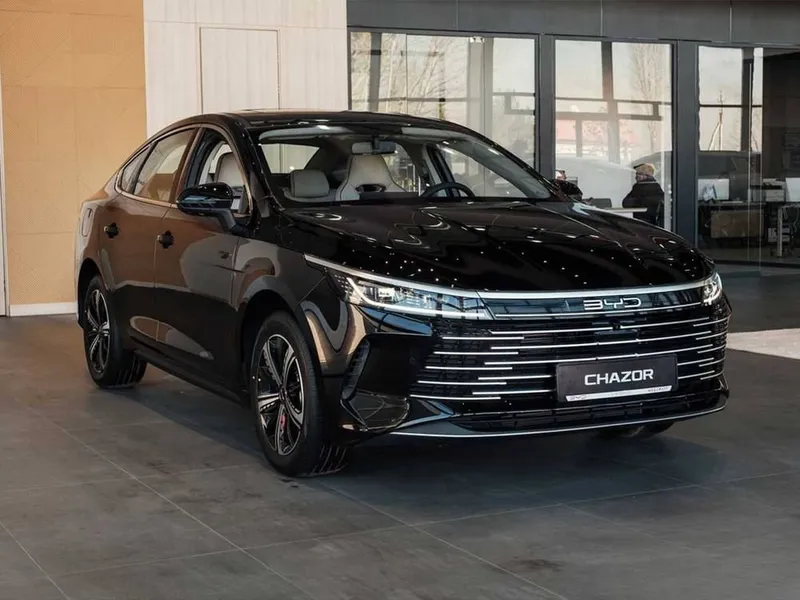 Водитель, автомобиль BVD-CHAZOR Водитель, автомобиль BVD-CHAZOR