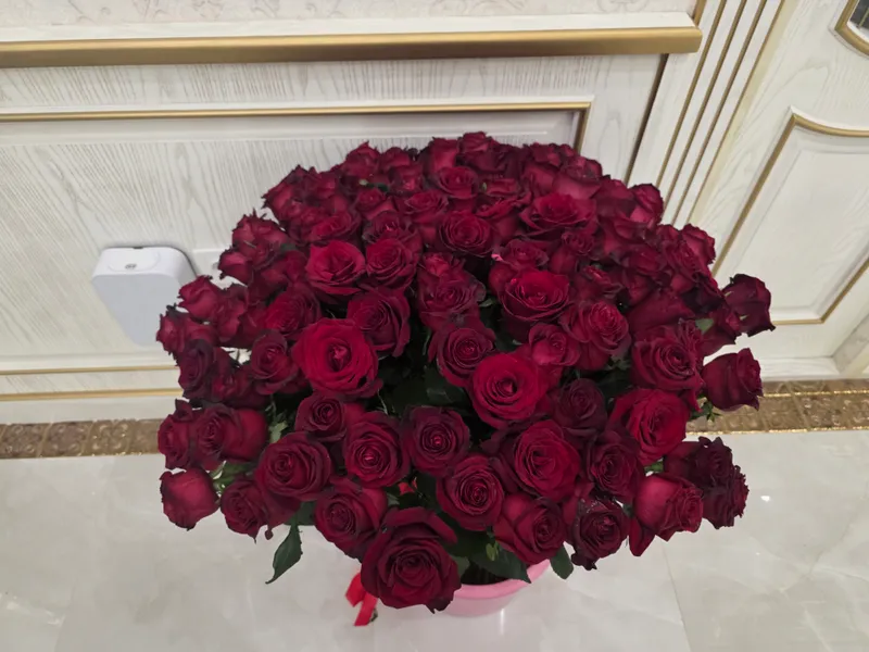 голландский розы 3