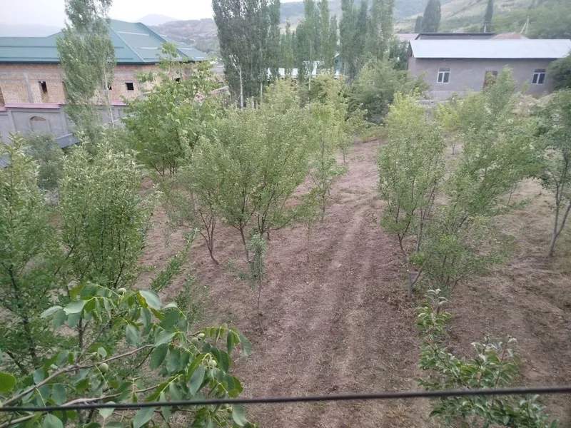 Sijjakda uchaska yer narxida sotiladi 8 sotik beznis uchun yaxshi joy — фото 4